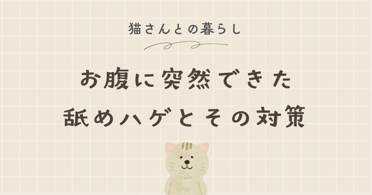 我が家の猫さんのお腹に突如現れた「ハゲ」のお話①
