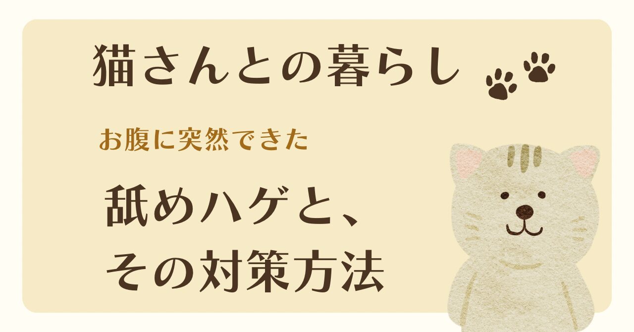 我が家の猫さんのお腹に突如現れた「ハゲ」のお話①